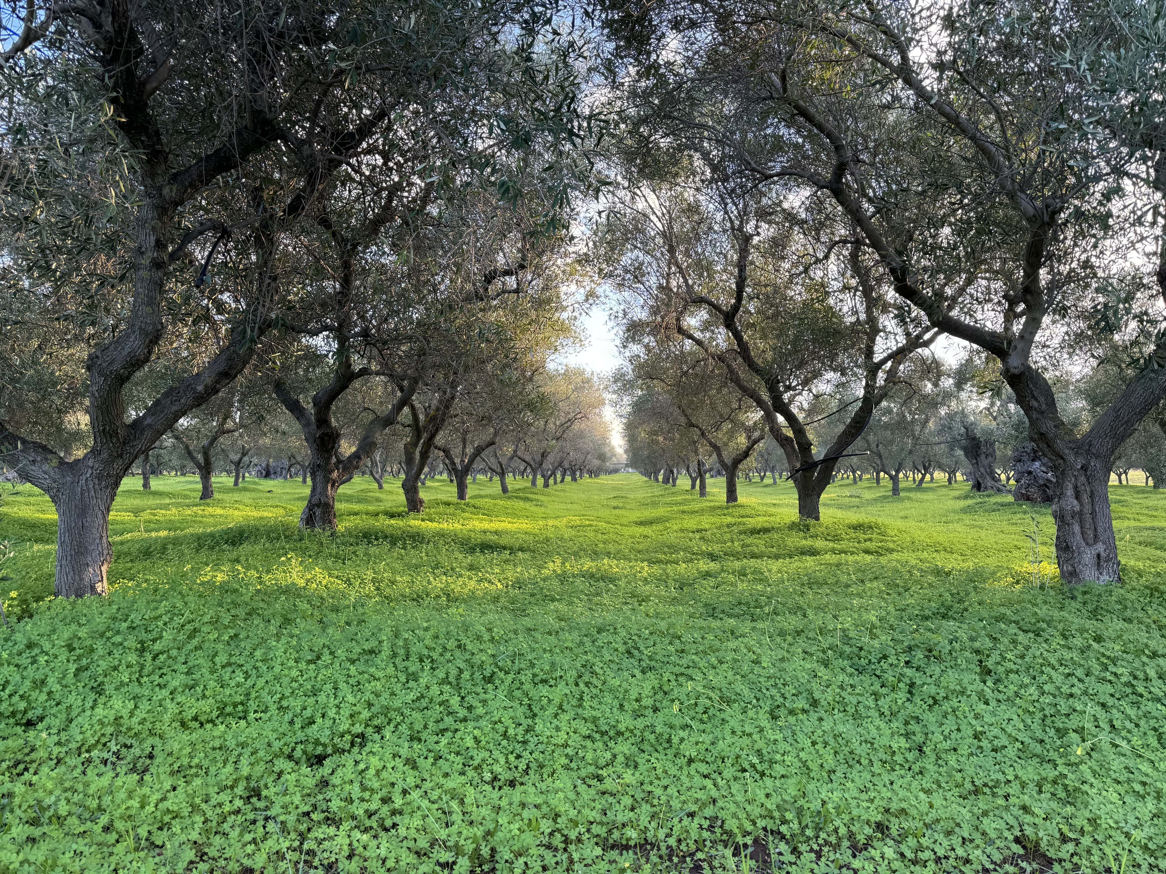 AgroEcology Italy