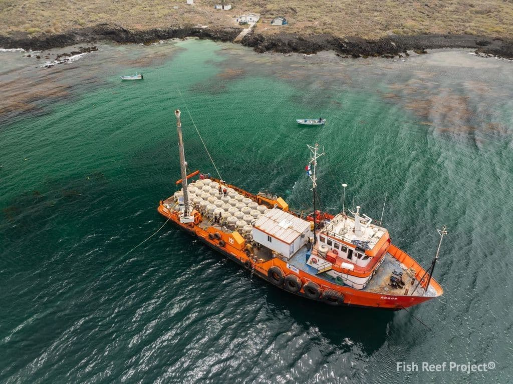 Sea Cave® True Blue Carbon® Project