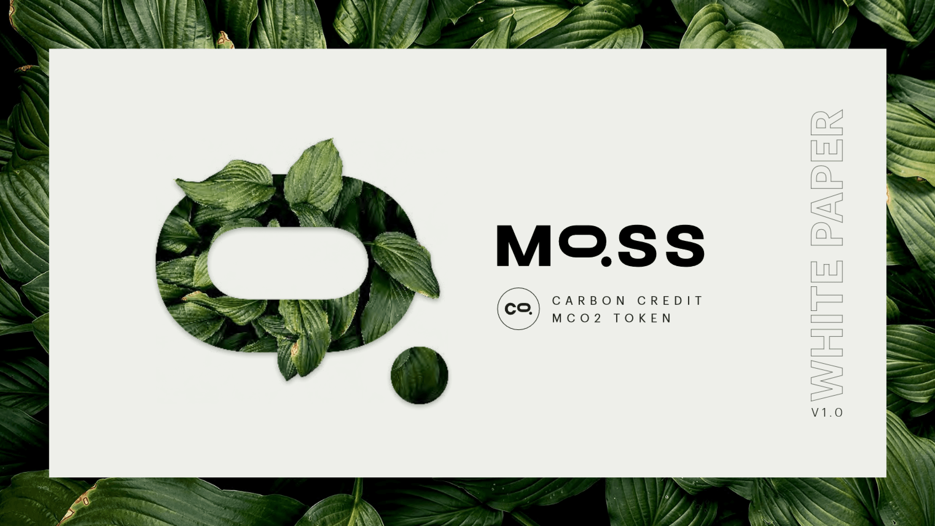 Moss Carbon Credit