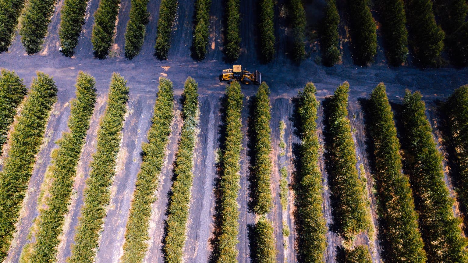 AgroEcology Initiative โ Italy