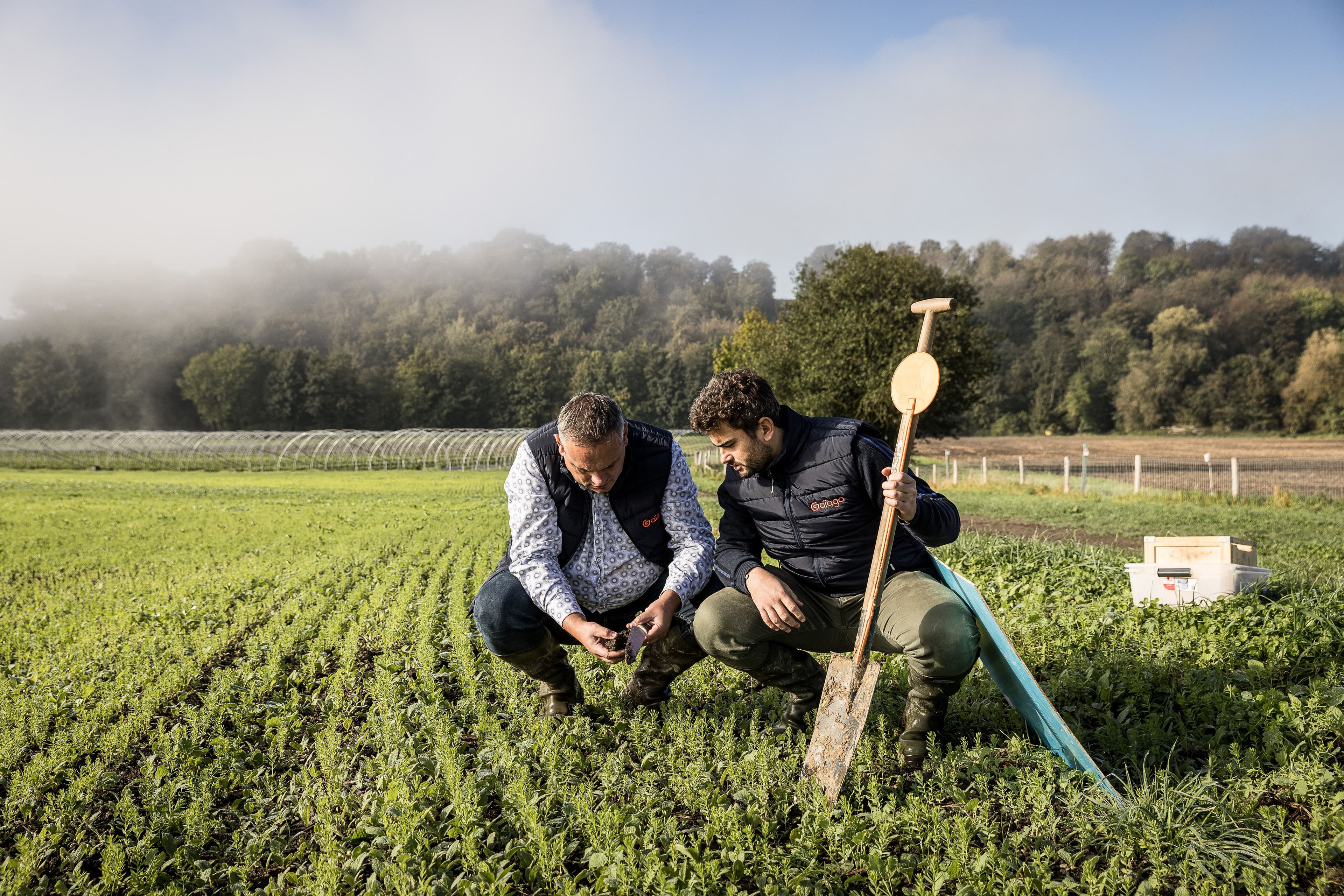 Agriculture